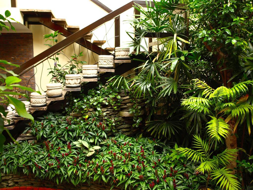 Hotel The Palm House Inn Сан-Хосе Экстерьер фото