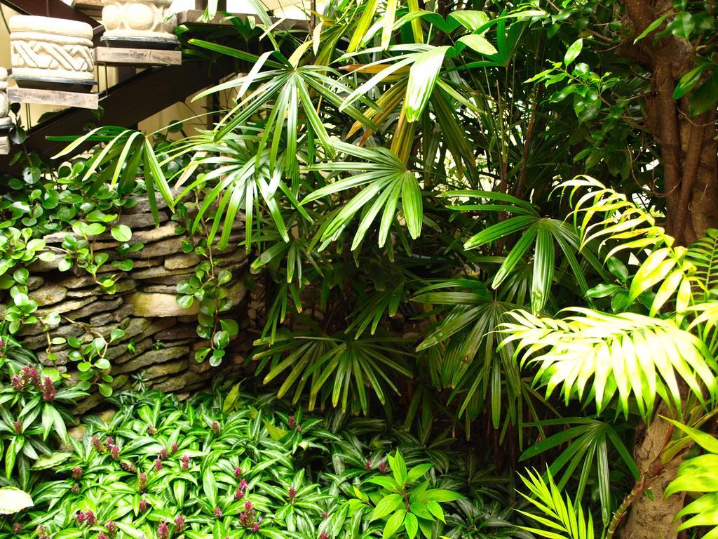 Hotel The Palm House Inn Сан-Хосе Экстерьер фото